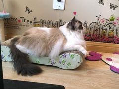 -成都恒博医院·全科检查