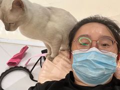 -COLOR PETS 撸猫馆·购猫·猫咖(长风大悦城店)