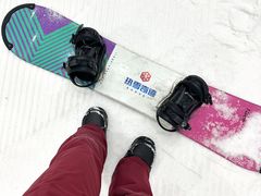 -哈尔滨热雪奇迹