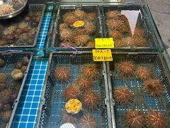 -马栏广场(地铁站)