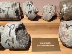 -兰州黄河桥梁博物馆