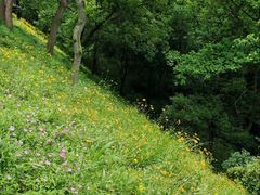 -西湖风景区-江洋畈生态公园