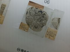 -湖南省地质博物馆