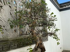 -金庸书院
