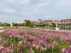 -歌斐颂巧克力小镇