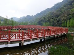 -广州市石门国家森林公园