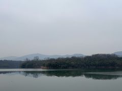 -佛手湖郊野公园