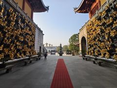 -上海东林寺(金山区)
