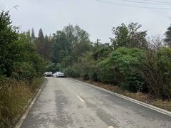 -桤木河湿地公园