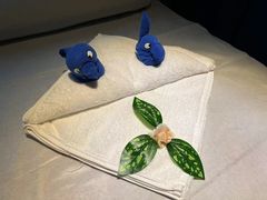 -新盈光·心院(嘉恒广场店)