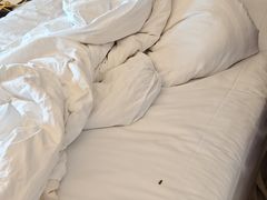 -哈尔滨香格里拉大酒店