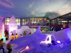 -世界之窗阿尔卑斯冰雪世界
