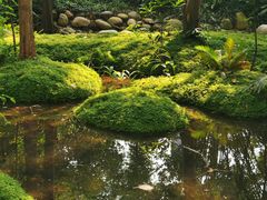 -成都市活水公园