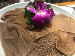 -今日炊牛·潮汕牛肉火锅(华采天地店)