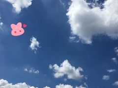 -宝珠奶酪(长宁金虹桥店)