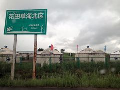 -张北坝上草原