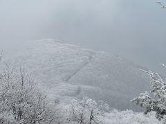 -安吉龙王山风景区