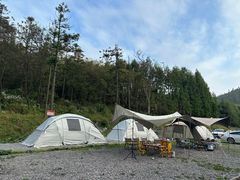 -武陵山森林公园