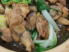 -华仔土鸡店(南洲分店)