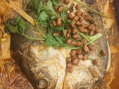-東豫狼烧烤. 碳火烤鱼. 小龙虾(上海首店)