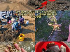 -巧克力渔家.小船海鲜胶东菜(万平口店)