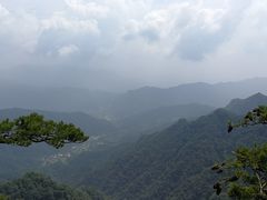 -王顺山国家森林公园