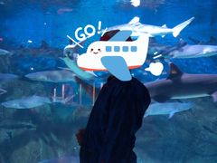 -烟台海昌鲸鲨海洋公园