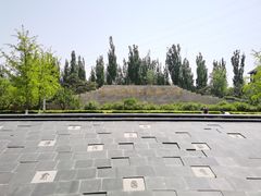 -永定河休闲森林公园