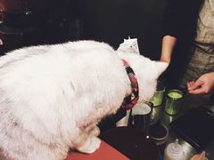 好奇宝宝美金-研途咖啡馆(健康路店)