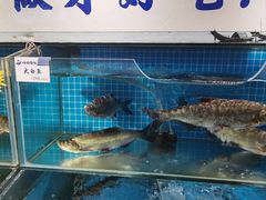 -胖姐渔村(中源大道店)