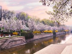 -元大都城垣遗址公园