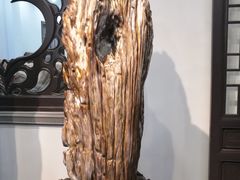 -游龙石文化科普馆