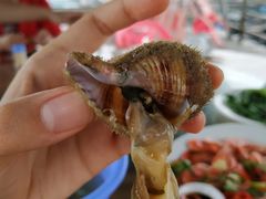 -海上驿站渔家菜馆