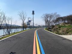 -羊山湖公园