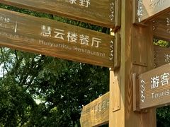 -南宁良凤江国家森林公园