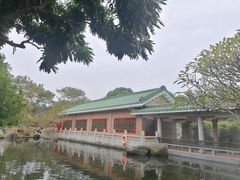 -名树园