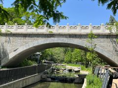 -白水寺森林公园