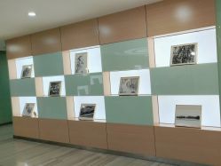 -重庆联合丽格第五医疗美容医院