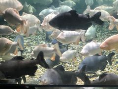 -成都浩海立方海洋公园