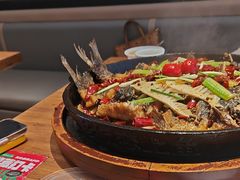 -老板恋上鱼(恒隆广场店)