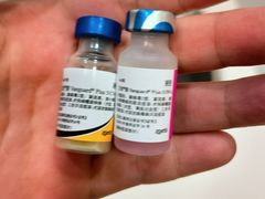 -瑞派动物医院·绝育·犬猫全科·预防医学(光景江南中店)