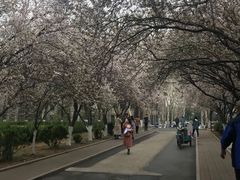 -山东师范大学(千佛山校区)