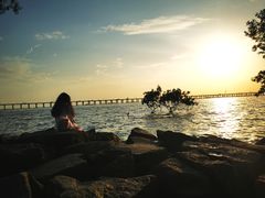 -宝安西湾红树林湿地公园