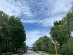 -野鸭湖国家湿地公园