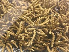 -上海市长宁区天山中医医院