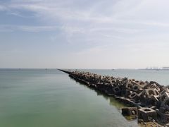 -东疆建设开发纪念公园