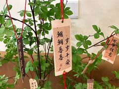 -Reset Coffee 与海咖啡