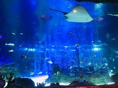 -沈阳海洋探索中心