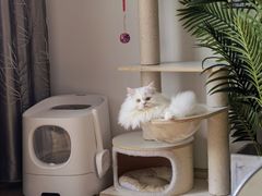 -瑞派康怡24h宠物医院·犬猫医疗中心·微创绝育(瑞景分院)