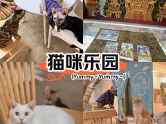 -泰国佛·塔罗·泰牌狐仙古曼